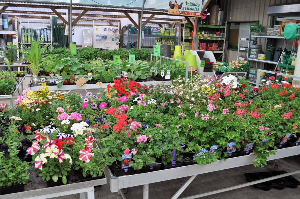 Jardinerie Et Magasin De Bricolage St Hilaire De Loulay Pr s Montaigu