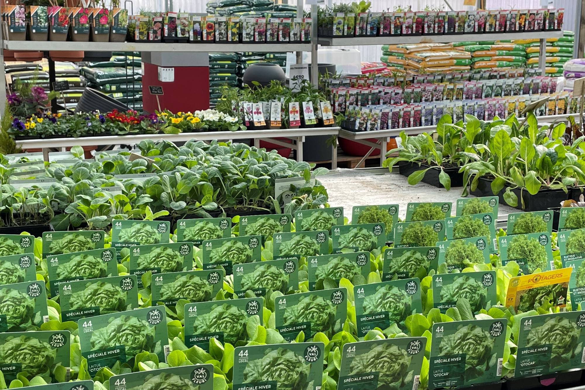 Jardinerie Et Magasin De Bricolage St Hilaire De Loulay Pr s Montaigu Jardinerie Et Magasin De Bricolage St Hilaire De Loulay Pr s Montaigu